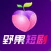 野果短剧 logo